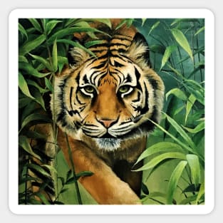 Tiger Sticker